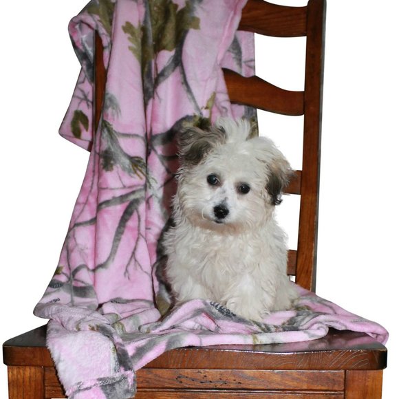 Meet your Posher, Camo - Picture 3 of 4